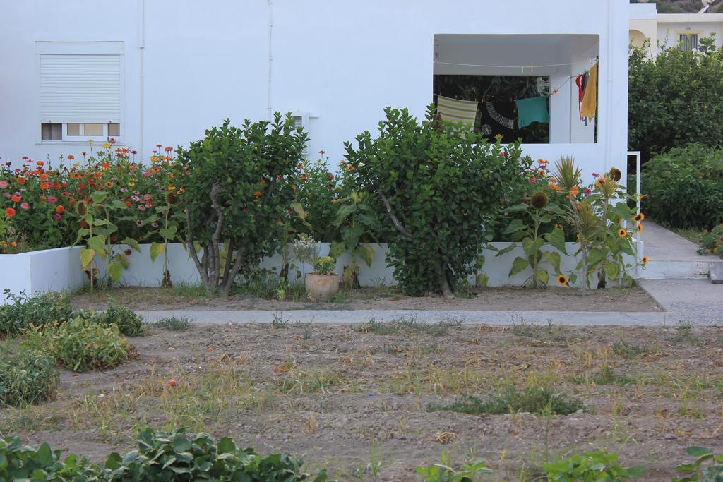 Studio Anthoula Kéfalos Oda fotoğraf
